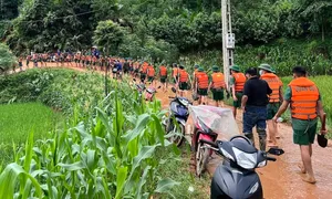 Chuyến hàng viện trợ quốc tế đầu tiên về Việt Nam