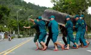 Dân quân tự vệ có thể được tăng mức trợ cấp